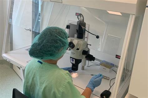 Att tänka på efter återföring av embryo